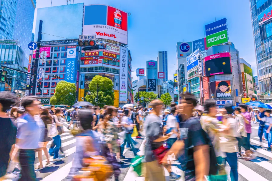 This solution helps prevent inefficiencies in waste removal operations and overcrowding caused by overtourism, thus preserving the city's beautiful landscape.